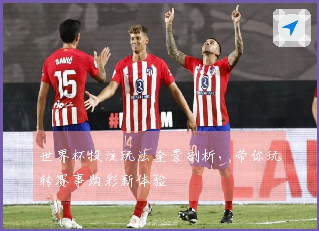 世界杯投注玩法全景剖析，带你玩转赛事购彩新体验