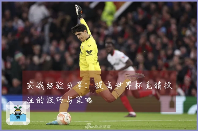 实战经验分享：提高世界杯竞猜投注的技巧与策略