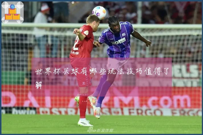 世界杯买球有哪些玩法技巧值得了解